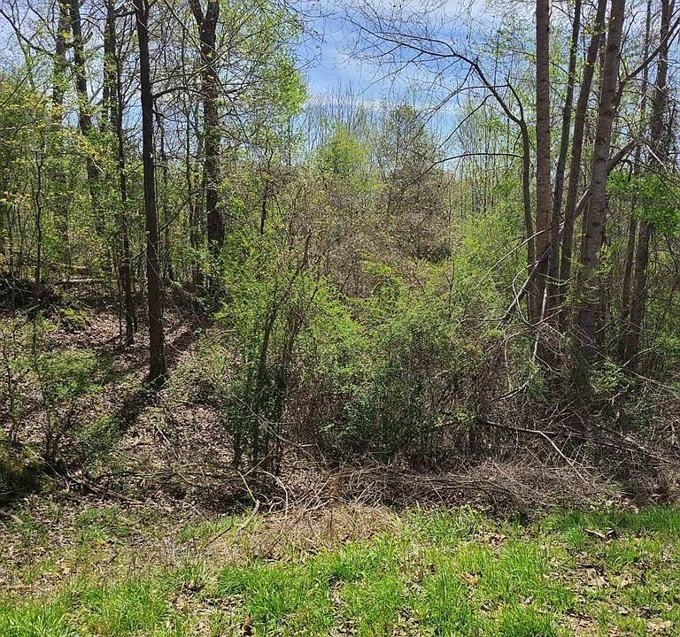 1st image of 0 Wintergreen Dr