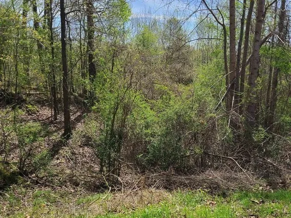 0 Wintergreen Dr, Hamilton, AL 35570