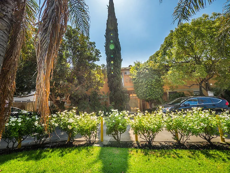 6566 Fountain Ave — Photo 12