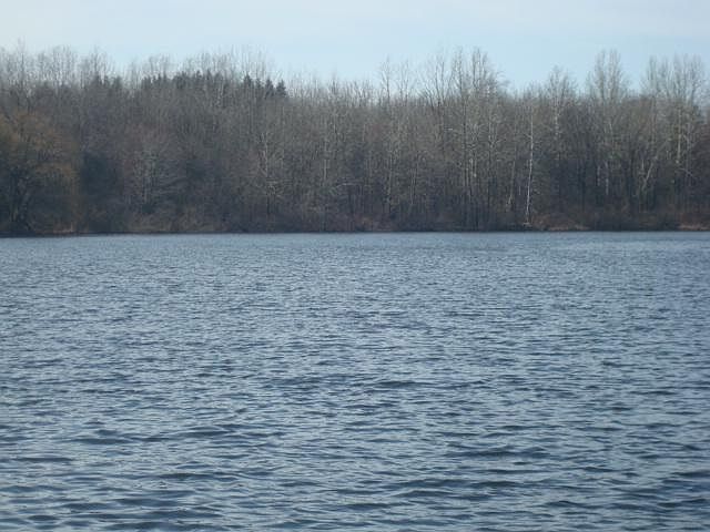 1st image of 9 Misty Pines St