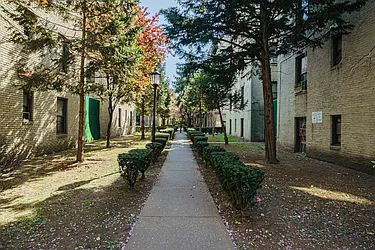 Rented by MySpaceNYC