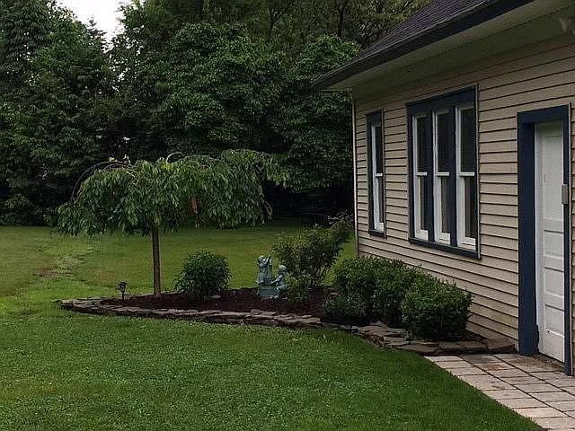 Back yard 