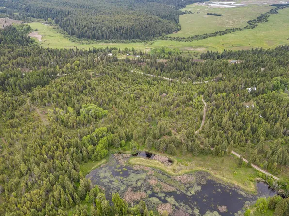 LOT 1 Hesseltine Rd, Valley, WA 99181