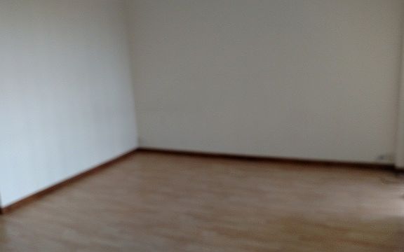 2nd image of 2921 S Michigan Ave APT 507