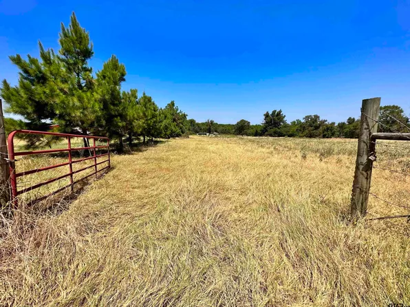 5960 County Road 4328, Larue, TX 75770