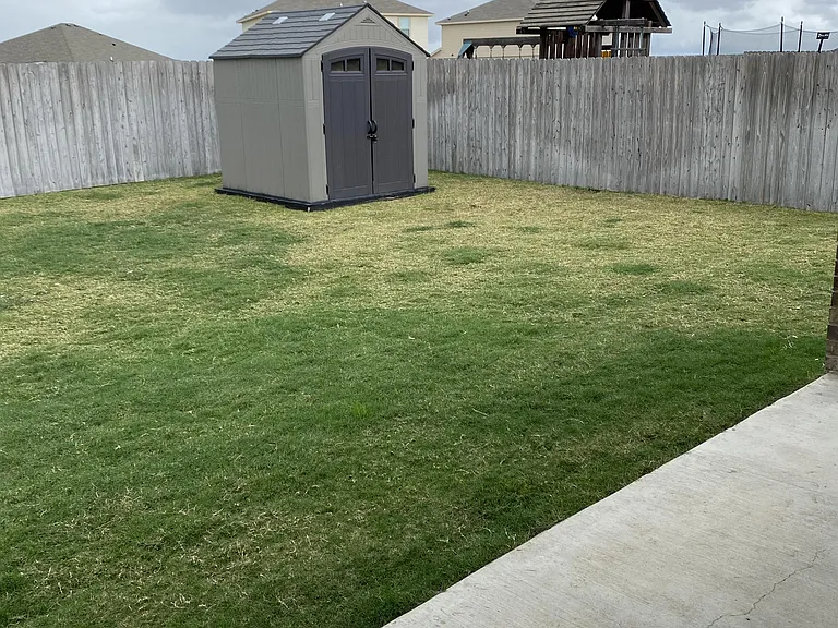 Backyard