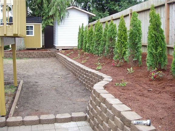 back wall with shed