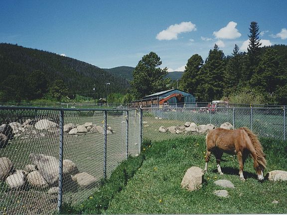 Great Views; Backyard on right of fence; horse pasture on left