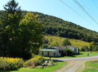 1108 Macdonald Rd, Hamden, NY 13782