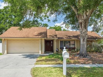 12606 Rain Forest St, Temple Terrace, FL, 33617