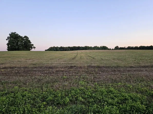 0 Blanton School Rd Lot 4, Woodbury, TN 37190