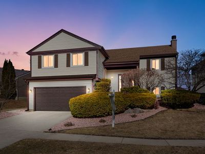 203 Albert Dr, Vernon Hills, IL, 60061
