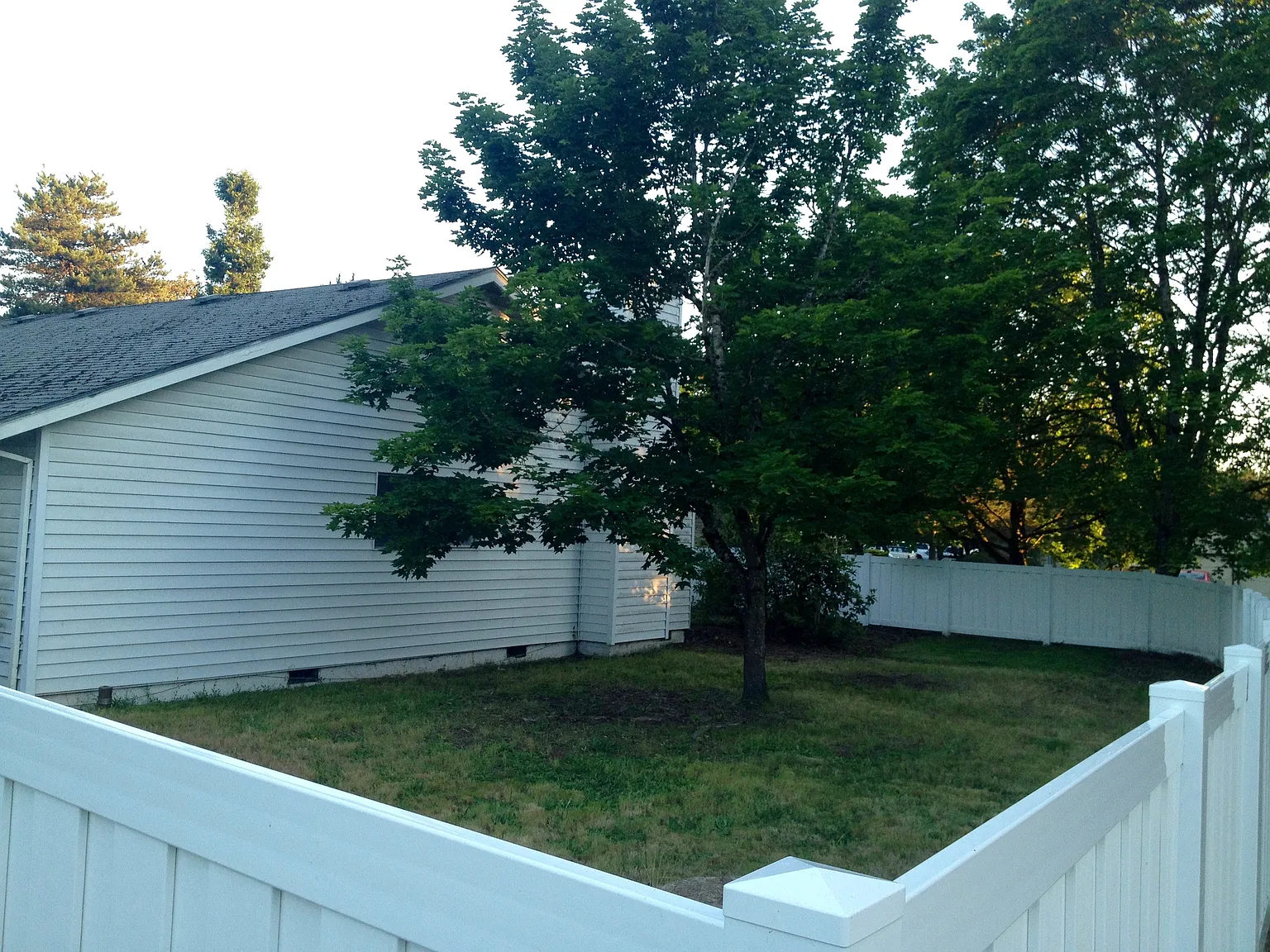 2 bed, 1008 sqft, $1,895 — Photo 3