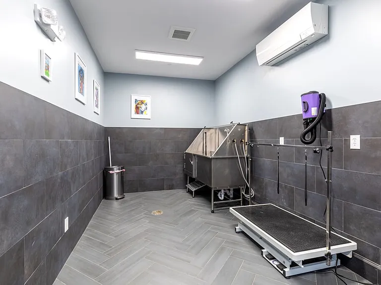 Solara Luxury Apartments — Photo 13