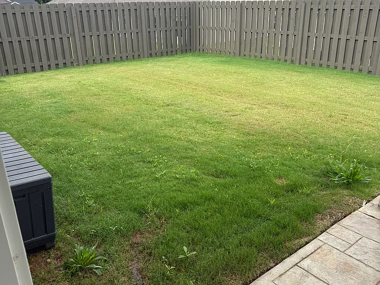 105 Alberta Harris Dr — Photo 5