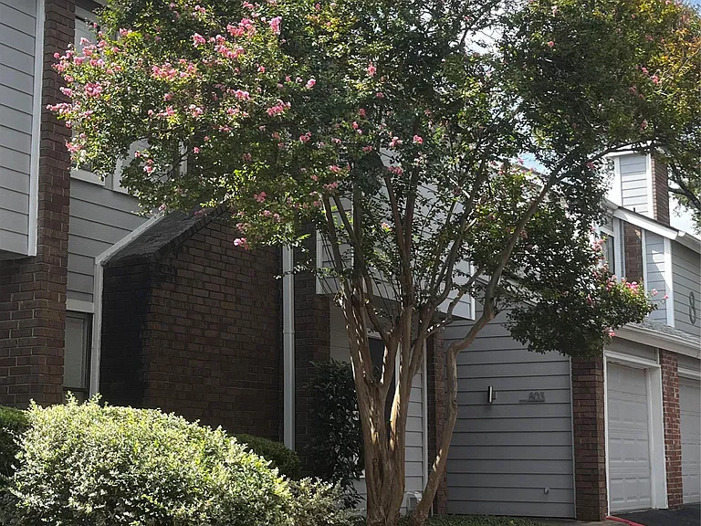 7635 Guadalupe St #1002 — Photo 25