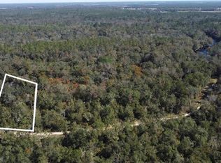 NE CHERVIL DRIVE, LEE, FL 32059