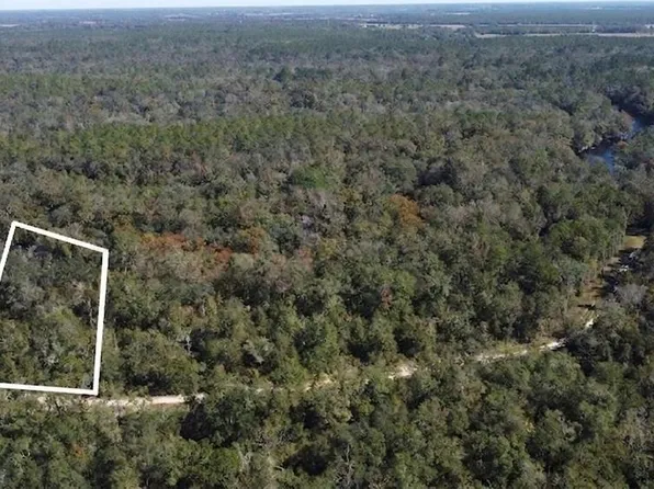 NE CHERVIL DRIVE, LEE, FL 32059