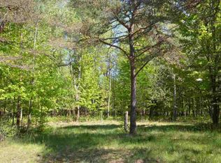 10253 Cedar Creek Rd, Fife Lake, MI 49633