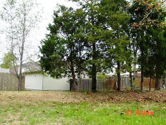 Another View of Back Yard