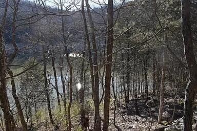 1st image of 39 SW Omega Park Rd
