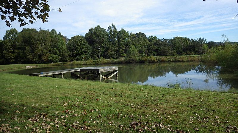 Pond with cedar deck