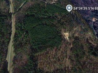 County Road 32, Dennis, MS 38838