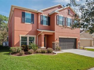 20235 Autumn Fern Ave, Tampa, FL 33647