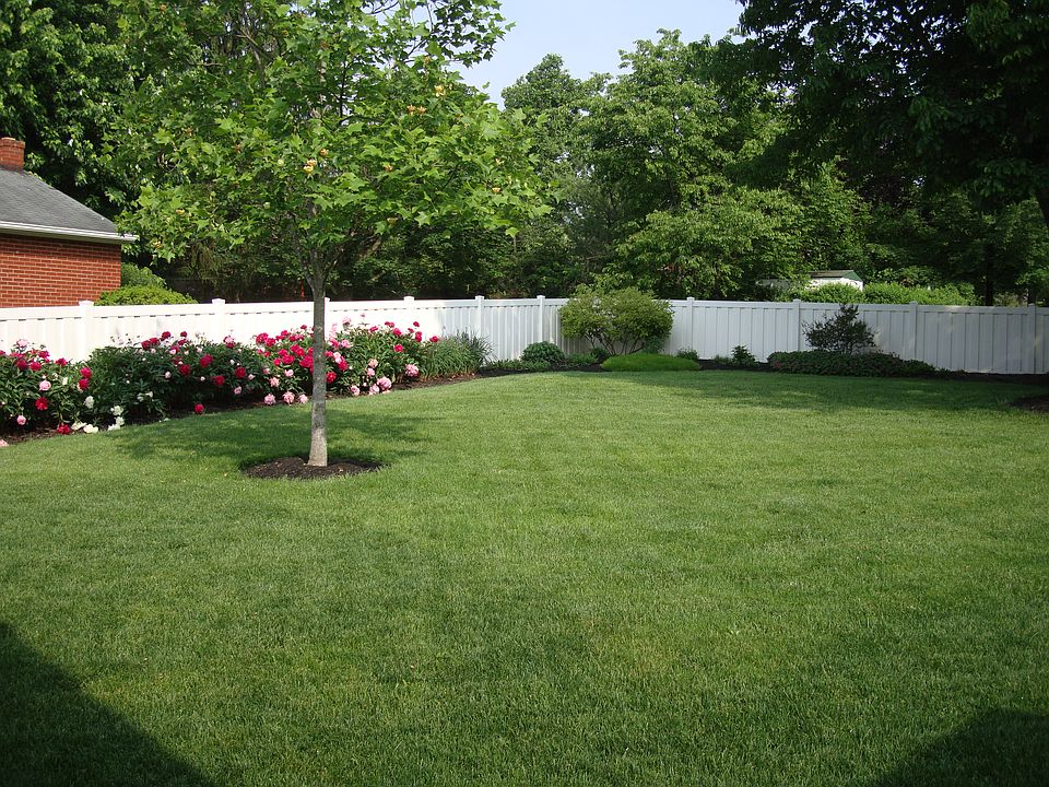 2nd image of 701 Chestnut Dr