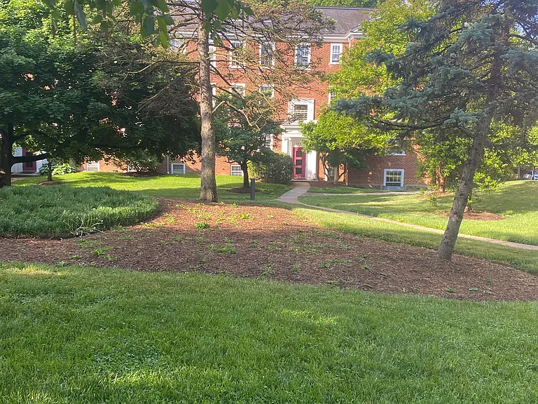 The building from outside