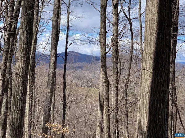 Tm 48 14m Courthouse Mountain Rd, Madison, VA 22727