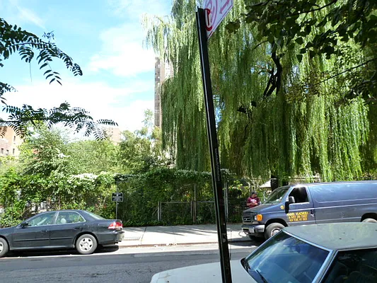 Rented by DSA Realty | media 29