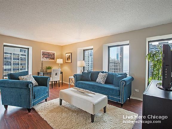 3rd image of 440 E Erie St #2701