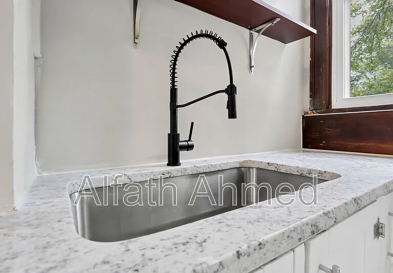 294 Wyandotte Ave — Photo 24