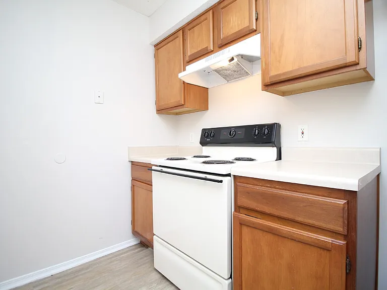509 Wood Crest Way — Photo 7