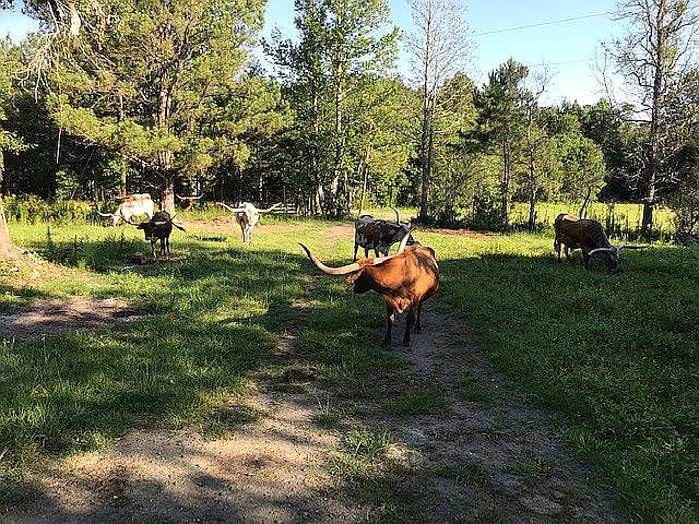 1st image of 6625 County Road 3725