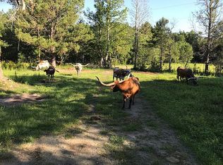 6625 County Road 3725, Colmesneil, TX 75938