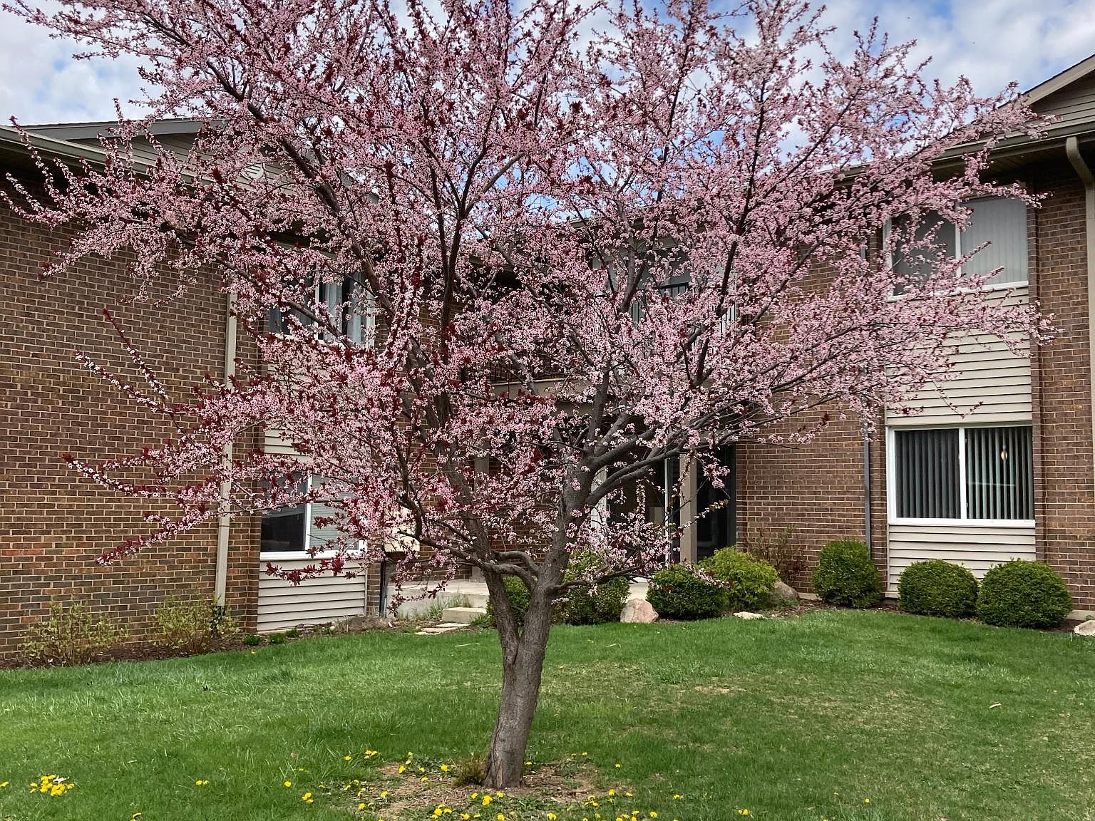 4428 Beau Monde Dr APT 101 Lisle IL 60532 Zillow