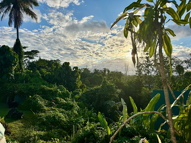 15-188 Puni Lani Loop N — Photo 18