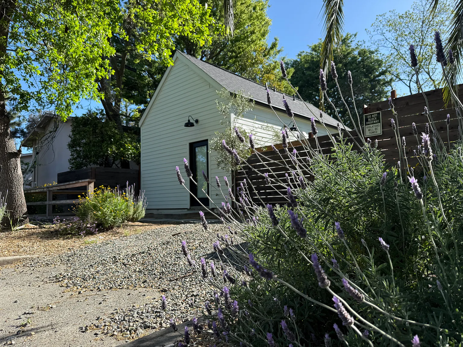 1 bed, 427 sqft, $1,395 — Photo 3