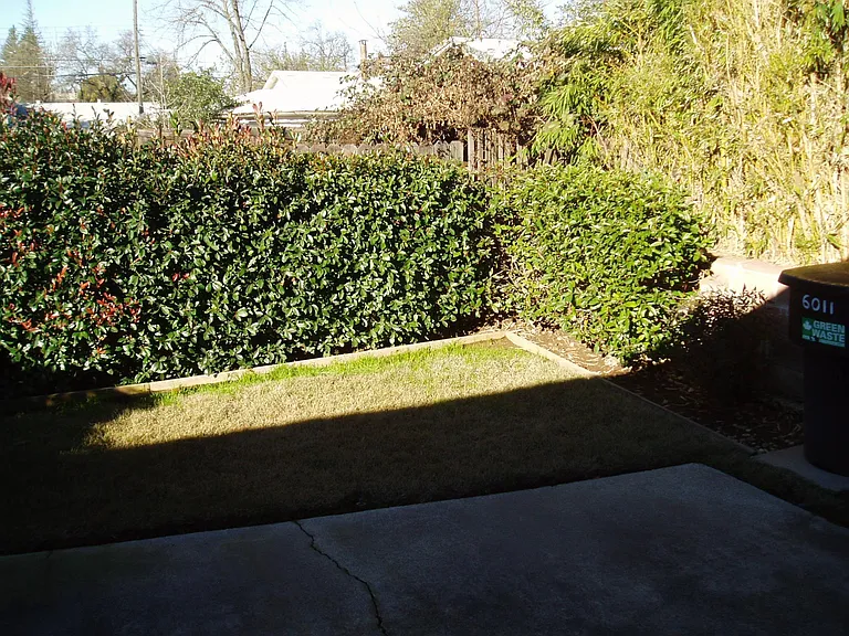 6011 Leafwood Dr — Photo 15