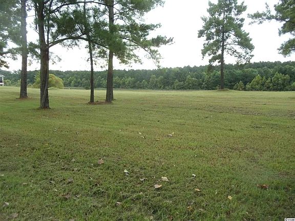 3rd image of Lot 45 Ave. of the Palms #The Bluffs on the Waterway