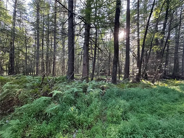 Lot 15-6 Ward Brower Jr Drive, Barryville, NY 12719