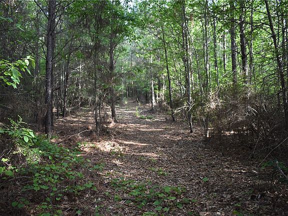 5th image of 0 Jackson Rd