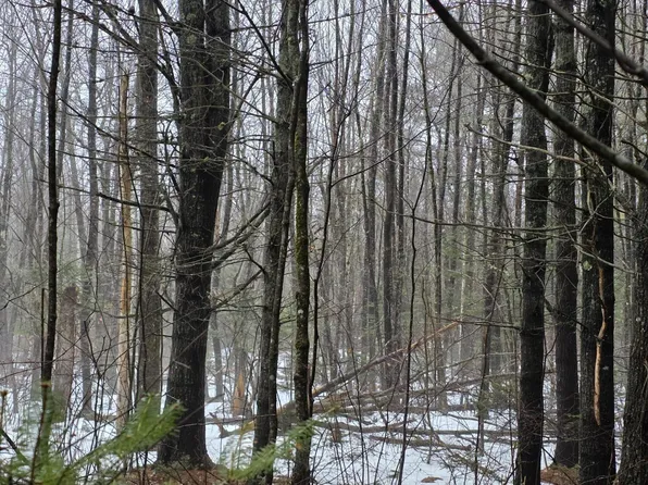 00 Harriman Road, Swanville, ME 04915