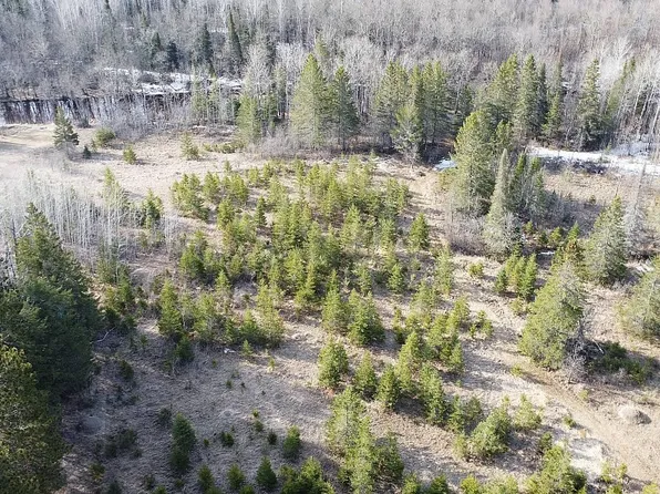 Tbd Highway 115, Cook, MN 55723