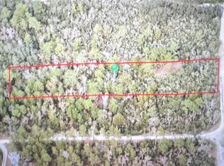 795 4th St E Lot 1, Osteen, FL 32764