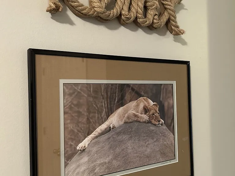 Charlotte Pike — Photo 19