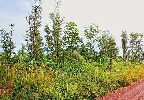 4th image of 6th Ave Lot 2294