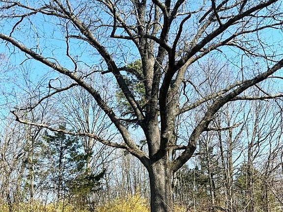 4th image of 7550 E 50th Rd